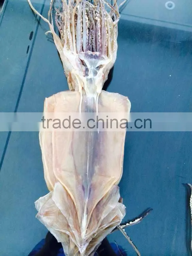 export dried shredded squid, dried illex squid