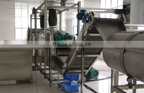 Kaier frying production line