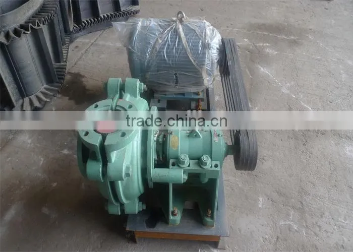 China Famous Factory Plant Slurry Pump