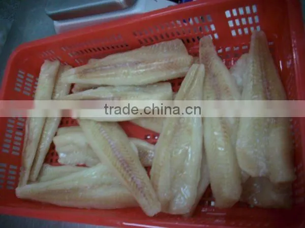 frozen alaska pollock fillet