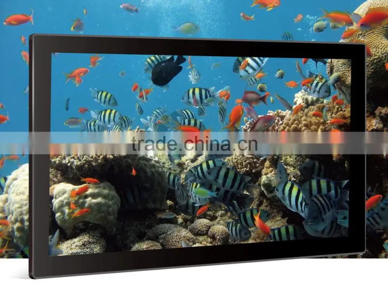 18.5inch digital photo frame support 1080p video with hdmi input