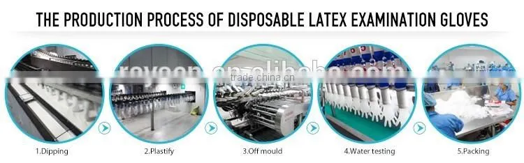 Latex Surgical Gloves