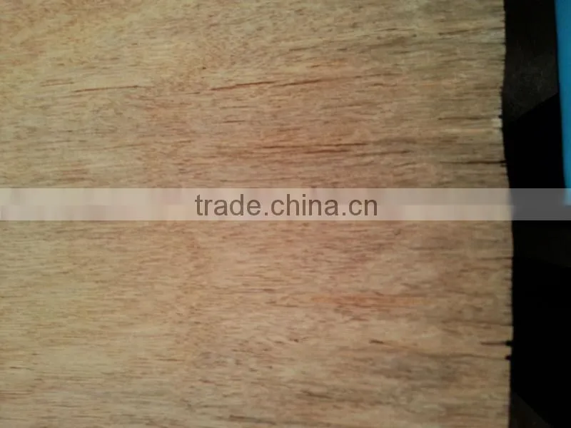 204 new 1220*2440mm keruing bintangor veneer