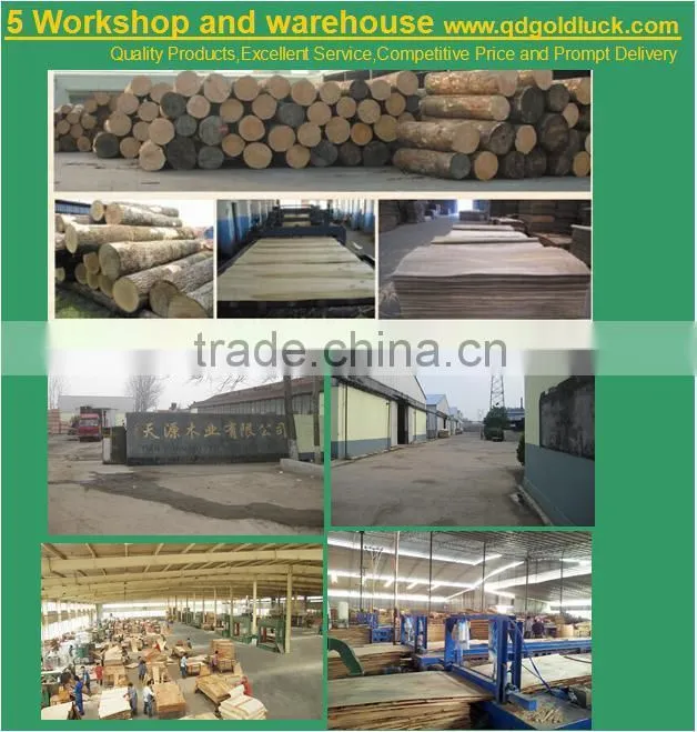 marine plywood/concrete slab/formwork plywood used in the construction of docks and boats