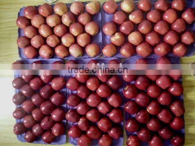 washington red apples 2015