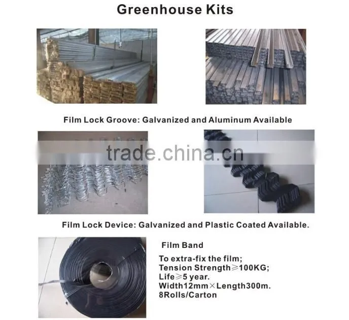 Plastic Film Strap for Greenhouse