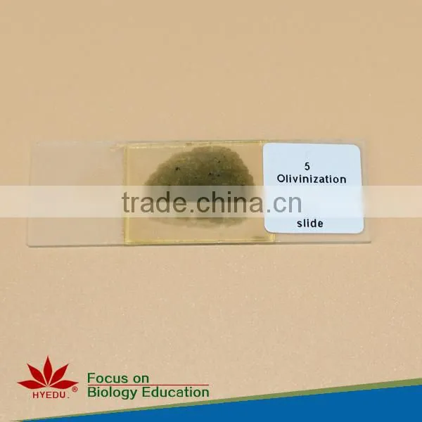 100pcs Geographical mineral rock powder slides set