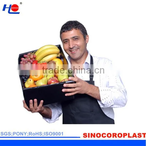 moistureproof and aging resistance plastic polypropylene dust proof box