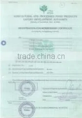 Evergreen Exports company overview - view 2