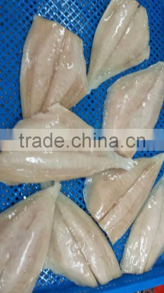 Frozen brama brama fillet boneless top quality