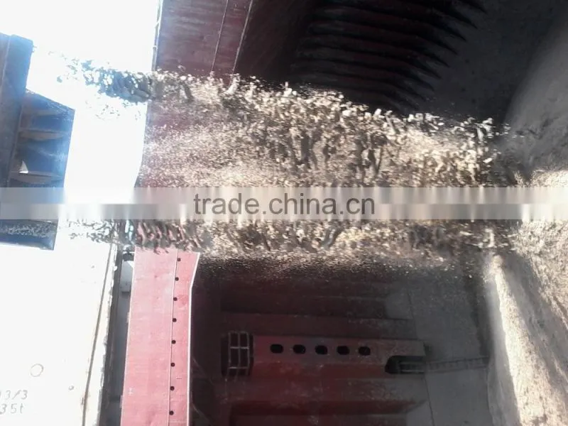 River sand with good Silica content / Cambodia