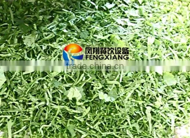 FC-306 Automatic Electric Vegetable Slicer Equipment Shredder Machine