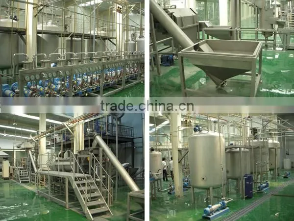 cassava chips drying processing machine/line