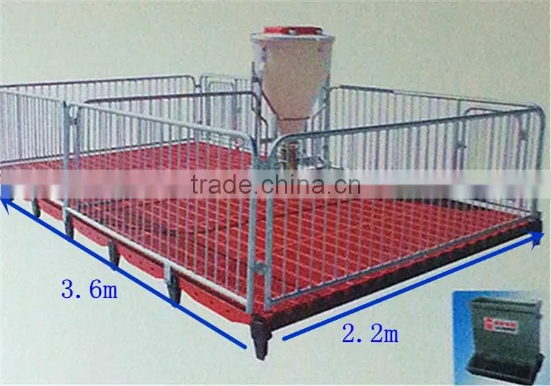 Poultry Feed Processing Equipment Stainless Steel Pigs Stall Nursery Crates