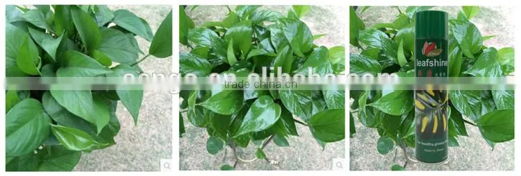 Shine Leaf Spray Polish for Floral/Plants/Foliage& Flower Care