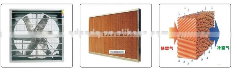 Greenhouse cooling equipment evaporative cooling pad