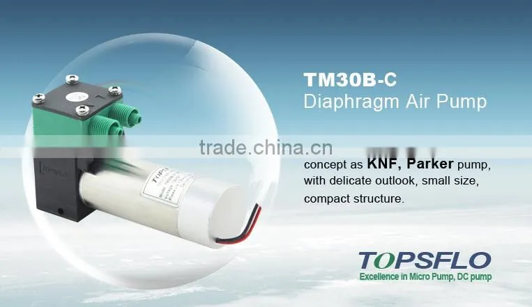 Micro diaphragm brushless 12v 24v dc compressed air analyzer pump