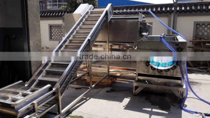 Cabbage Processing Production Line Machine Equipment Broccoli Pretreatment Production Line