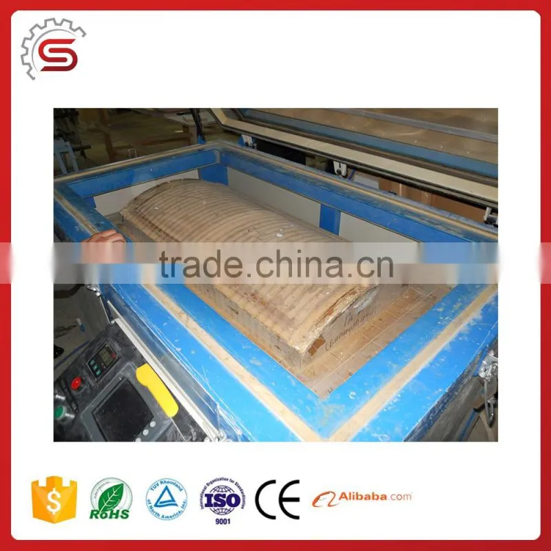 China woodworking machine WP9066 Vacuum Press For Curved Panels