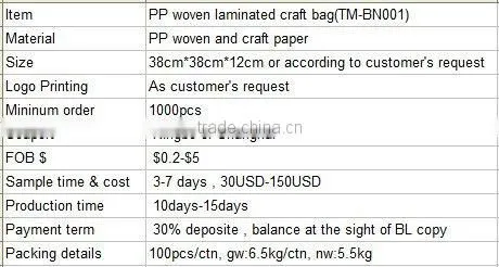 Recycled PP woven laminated craft bag