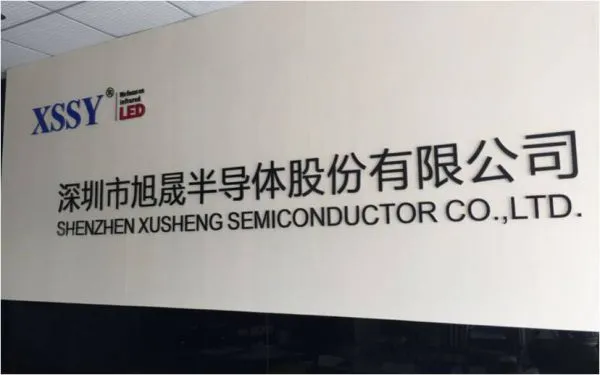 Shenzhen Xusheng Semiconductor Co., Ltd company overview - view 1