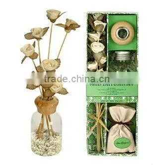 aromatherapy diffuser with essential oil gift set