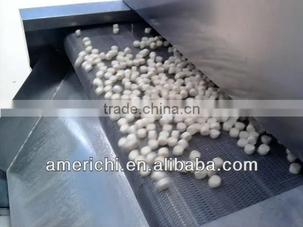 Core-filling snack food extruder in Tunisia