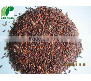 GLUTINOUS RICE