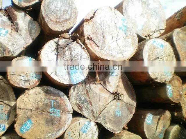 Big sale high quality round logs Kerung Laos wood