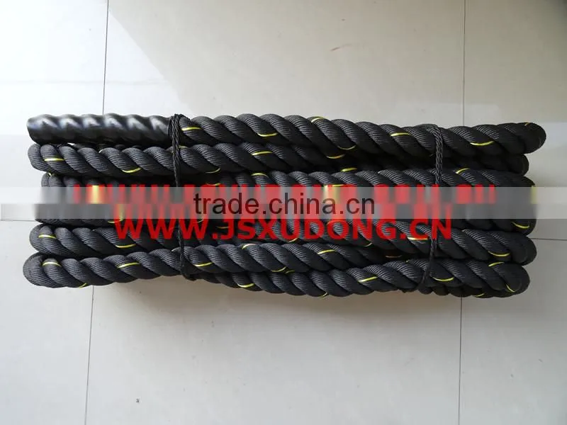 Fitness GYM rope