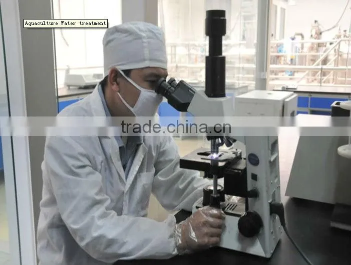 textile desizing enzyme TX550 amylase enzyme for textile chemicals