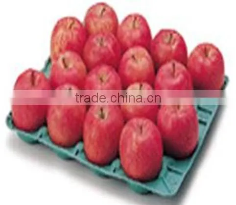 Paper Pulp Molding Machine Egg Tray Production Line