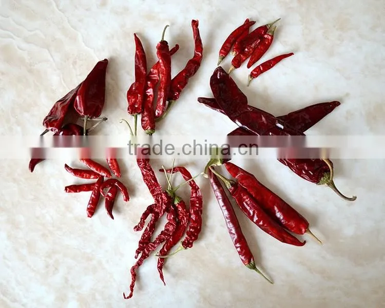 Big Size Chili Cutting Ring Chili Segment Chili Circle
