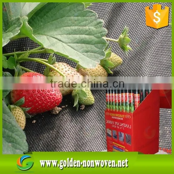 Mattress Interlining Nonwoven Fabric, Non woven Roll for Furniture and Sofa