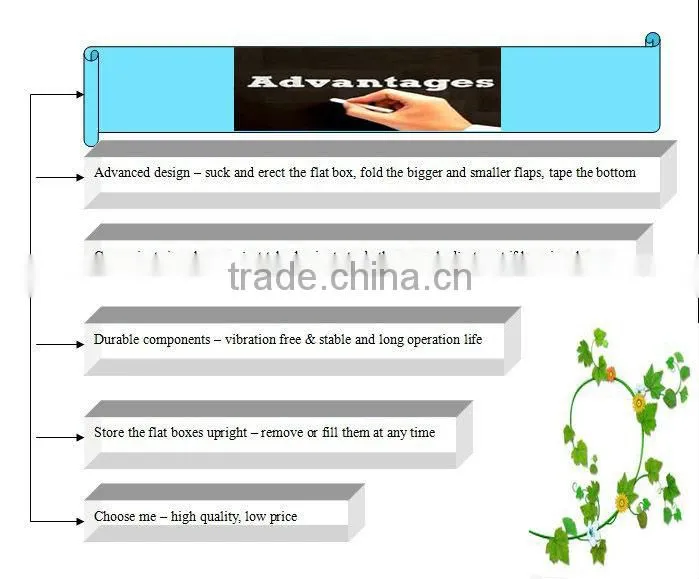 Automatic case erector packaging machine in packaging line