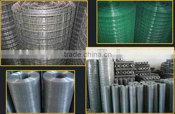 GI Welded Wire Mesh factory