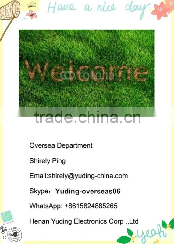 Henan Yuding F23-A++ Cranes Wireless Telecrane Radio Remote Control