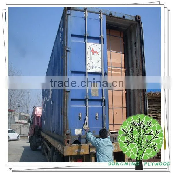 White Faced Plywood,White Polyester Plywood