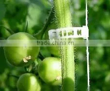 Tomato Grafting Clip