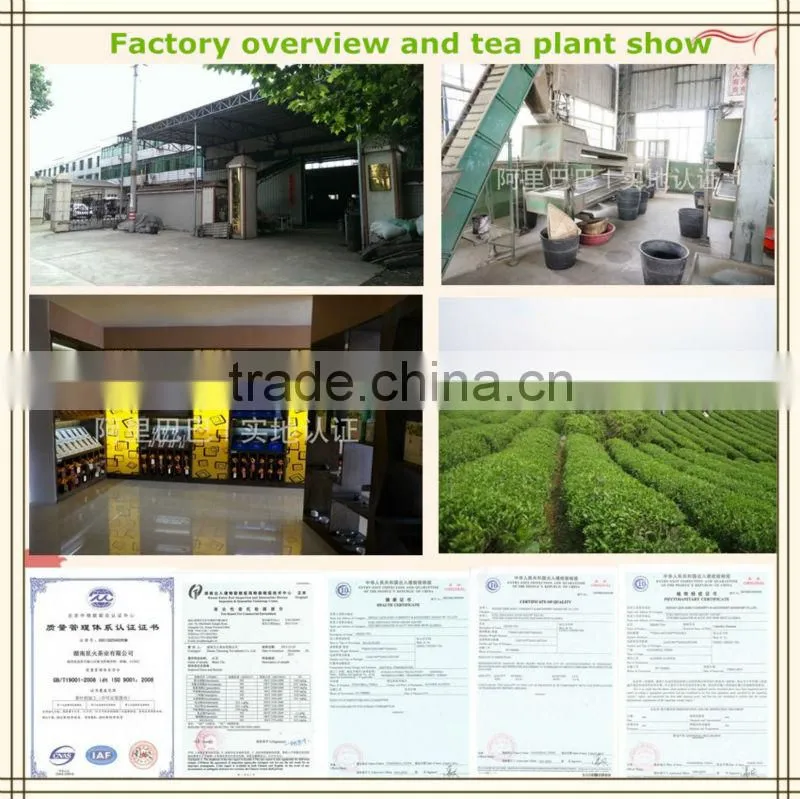 Top Quality Refined Silver Needle yellow tea