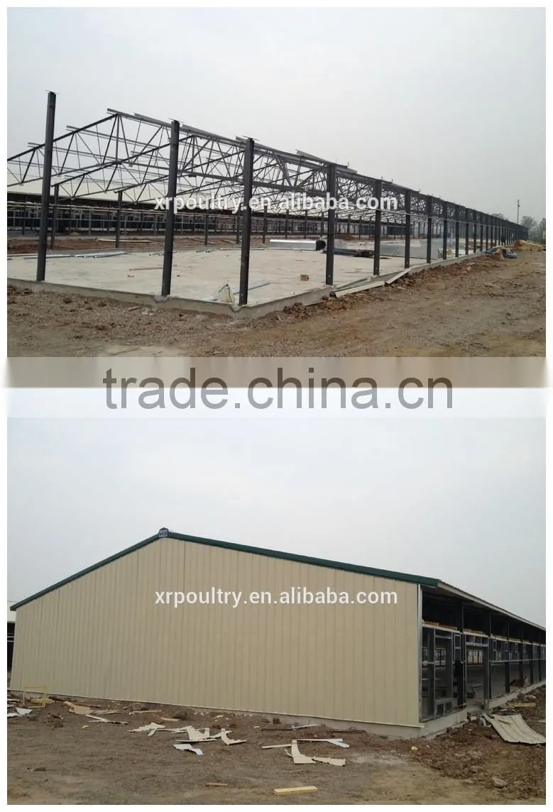 automatic environmental controlled chicken farms construction