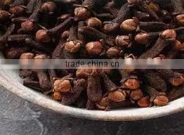 SUPPLY CLOVES (Call: +84 1687264621)