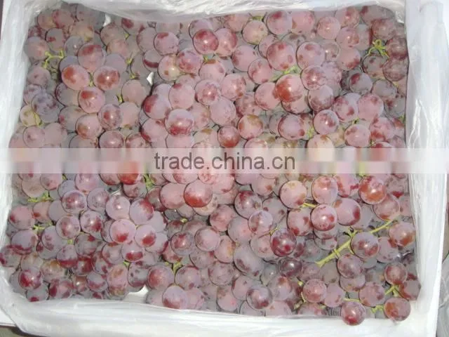 Fresh style and grapefruit type fresh fruit from China
