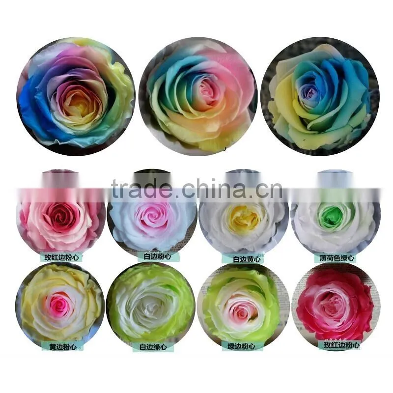 Natural preserved fresh rose wholesal flower Multi colored Preserved Roses
