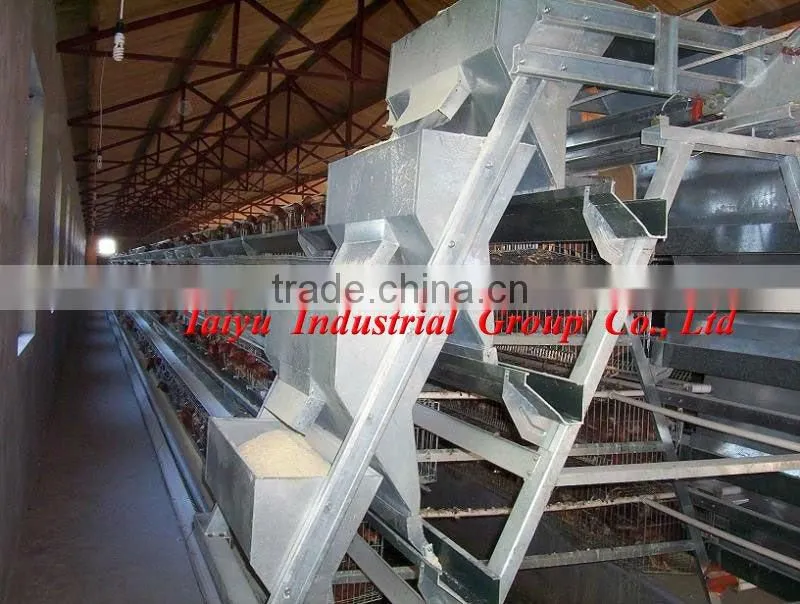 layout poultry farm house design ( product, equipment )