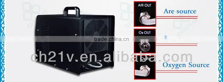 Stronger Sterilizer 2-6G Portable Ozone Machine For Air Purifier And Water Treatment