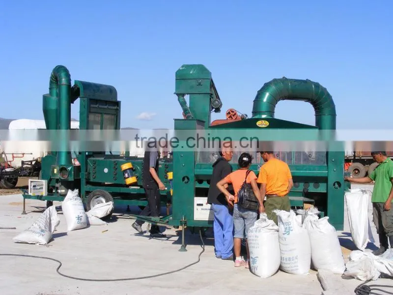bean seed processing line