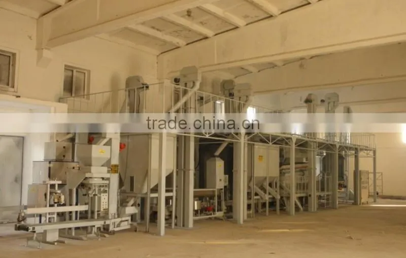 maize corn processing line