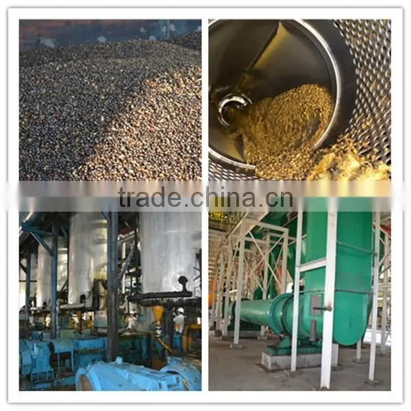 Sinar Mas Group partner 5TPH palm oil press machine
