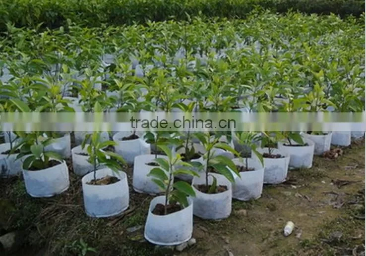 PP non woven planter grow bags